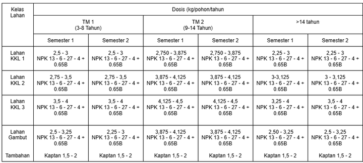 Kelapa sawit 1