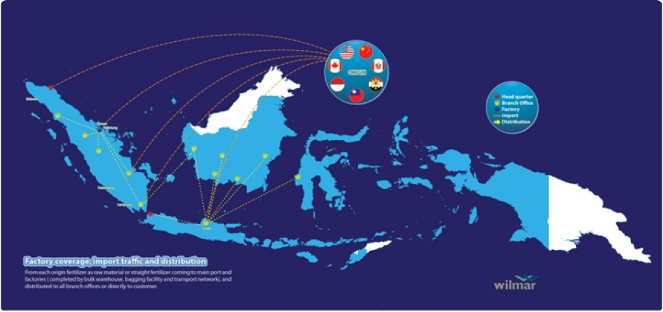 network and distribution